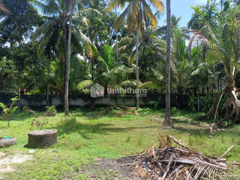 Residential Land available for Sale in Maruthadi Kollam
