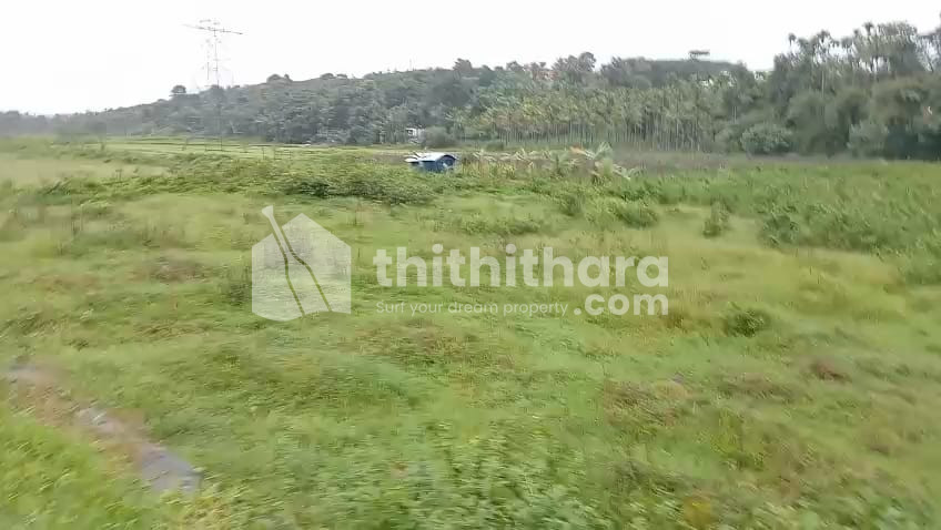 Industrial Land/Plots available for Sale in Mananthavady Wayanad