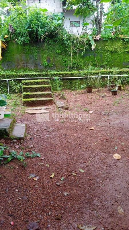 Commercial Plots available for Sale in Pallom Kottayam