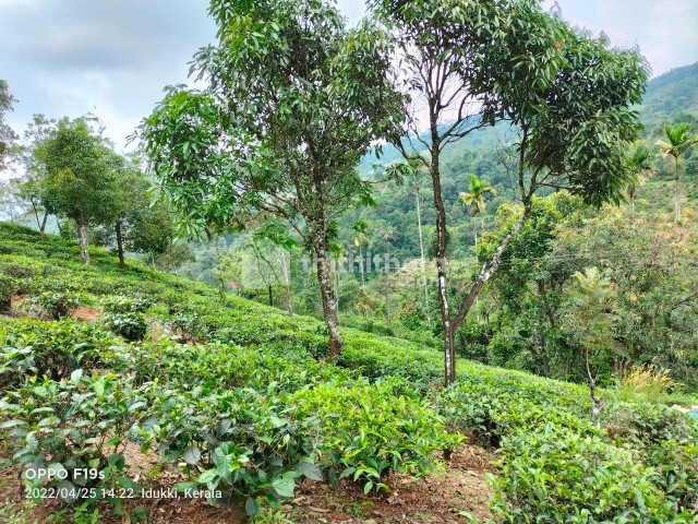 Residential Land available for Sale in Peerumade Idukki