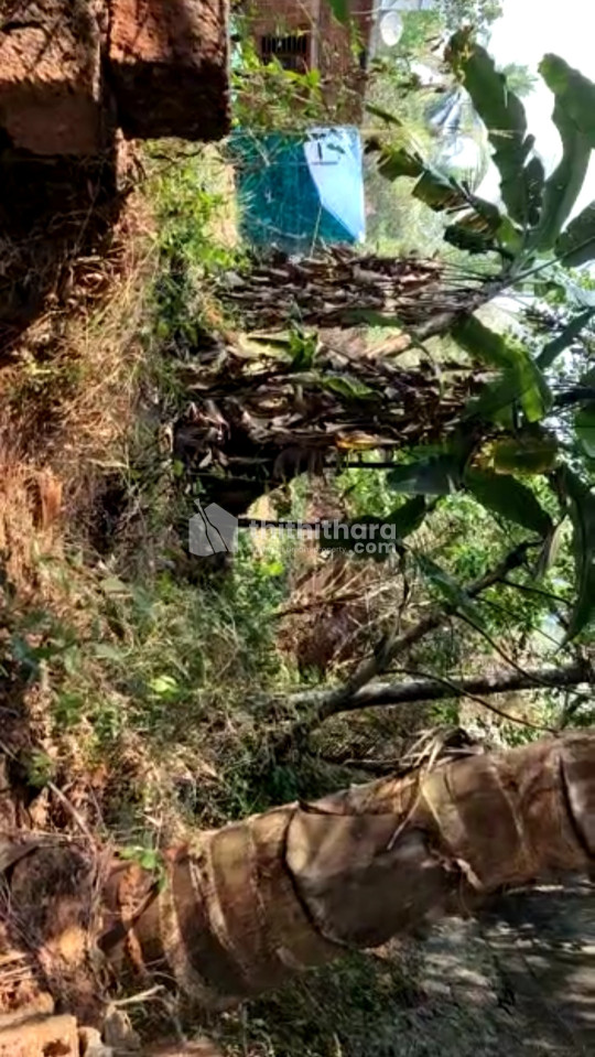 സ്ഥലം വിൽപ്പനക്ക്