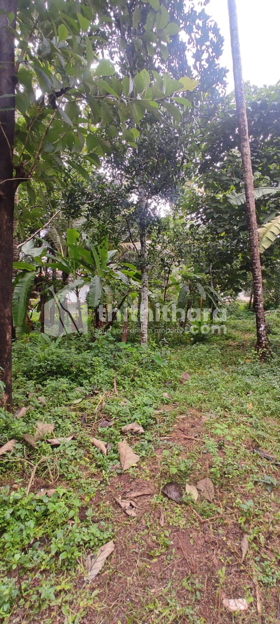 Residential Land available for Sale in Medical College Kozhikode