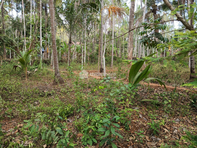 Residential Land For Sale Chelannur Kozhikode 