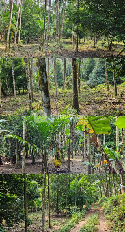 Residential Land available for Sale in Palakkayam, Mannarkad, Palakkad