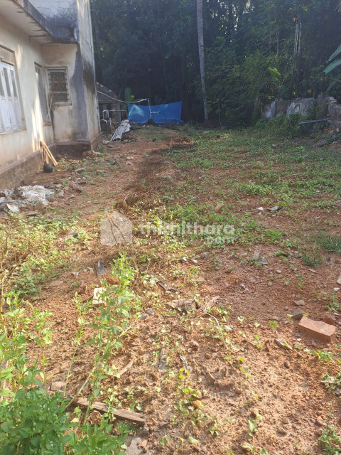 Residential Land available for Sale in Perumbavoor Ernakulam