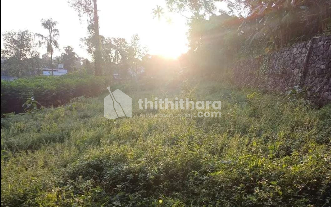 Residential Land available for Sale in Thodupuzha Idukki