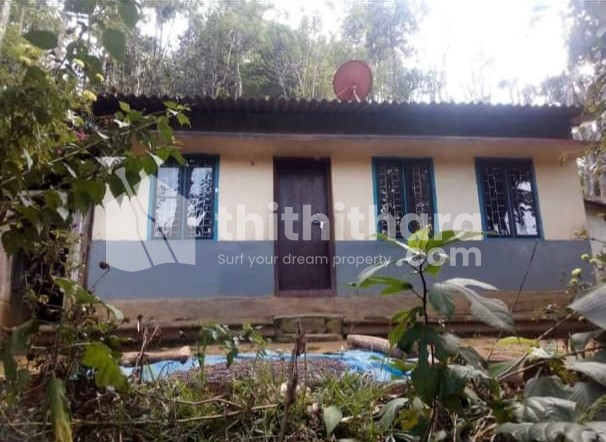 65 cent land for sale at Sulthanbathery ,Wayanad