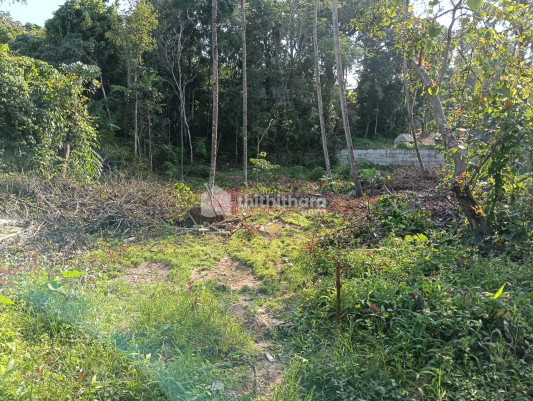 Residential Land available for Sale in Kundara Kollam