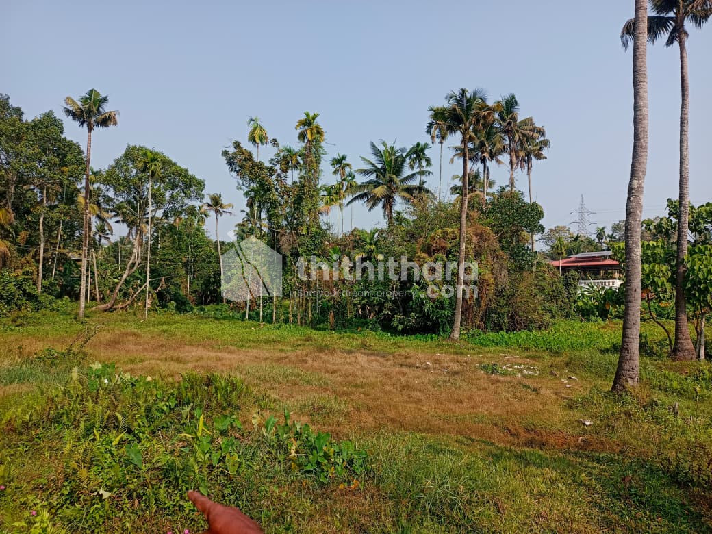 Residential Land available for Sale in Kalamassery Ernakulam