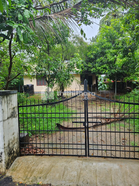 3BHK house For sale in Olari