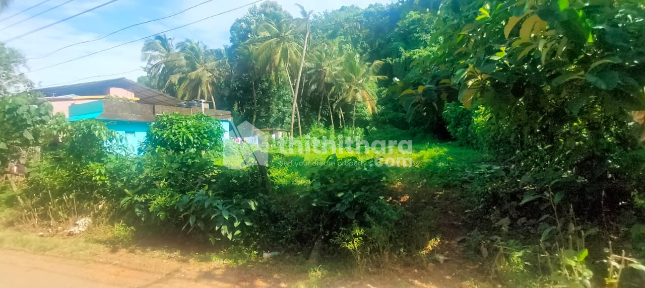 Residential Land Available for sale at Amalanagar Thrissur 