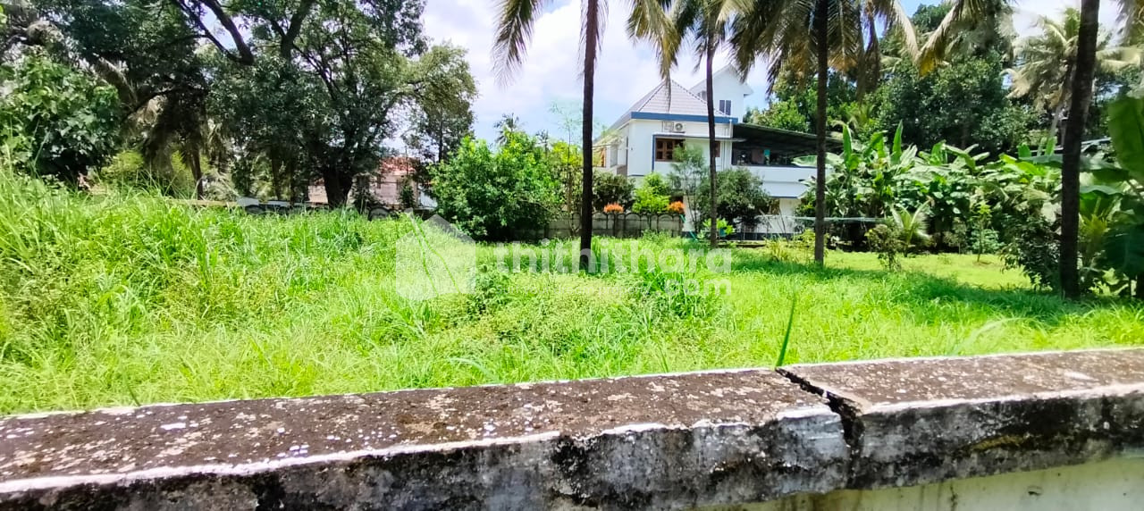  Residential Land 