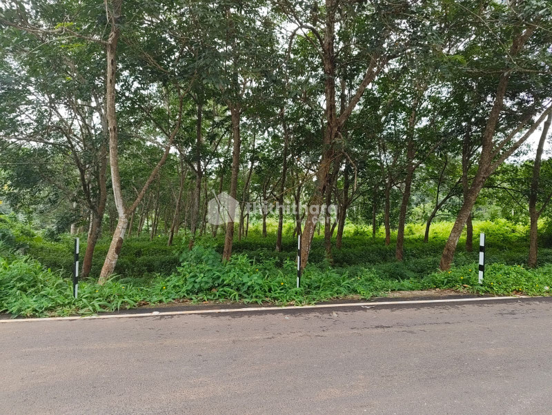 Commercial Plots available for Sale in Parassala Thiruvananthapuram