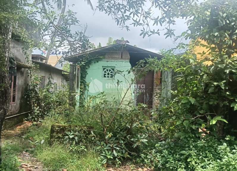 Residential Land available for Sale in Cement junction Kottayam