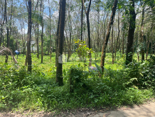 Residential Land available for Sale in Perumbavoor Ernakulam