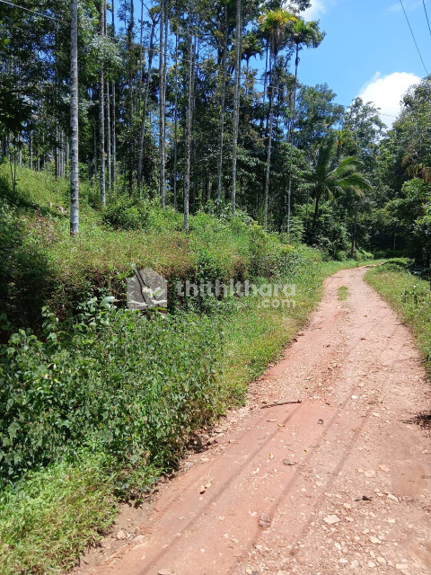 Commercial Plots available for Sale in Sulthanbathery Wayanad