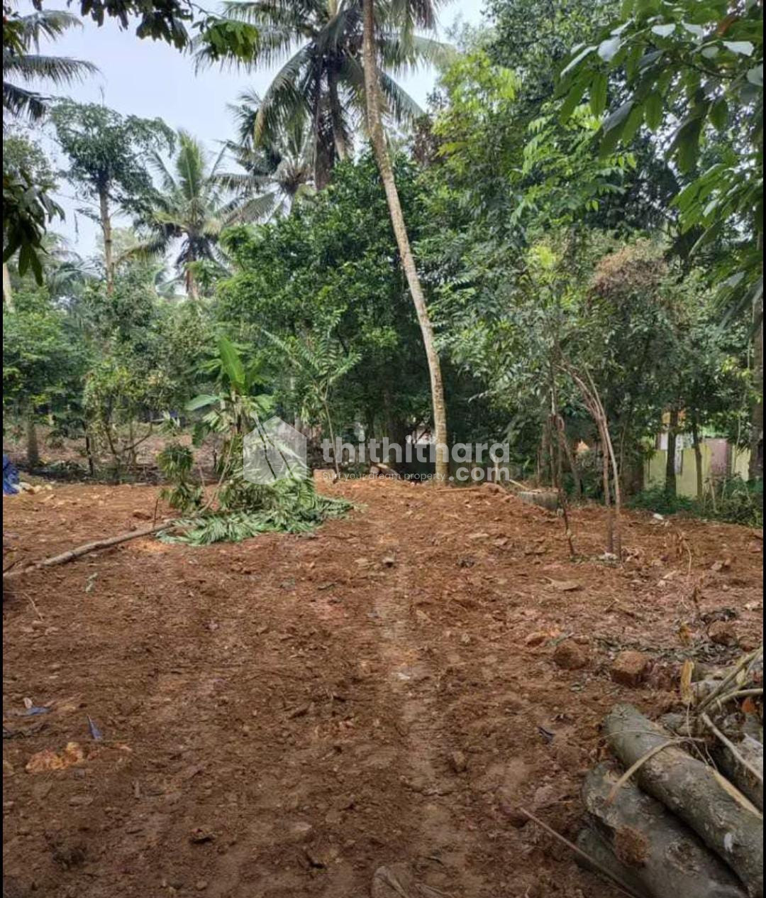 Residential Land available for Sale in Chirayinkeezhu Thiruvananthapuram