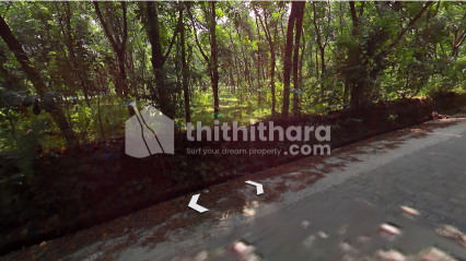 Commercial Plot For Sale In Angamaly Ernakulam 