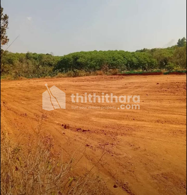 Residential Land available for Sale in Mannarkad Palakkad