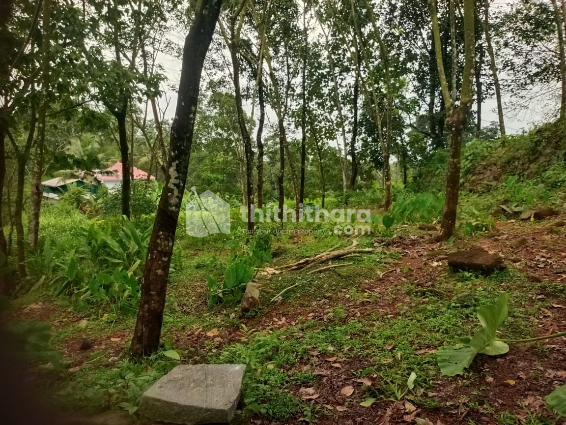 Residential Land available for Sale in Pala Kottayam
