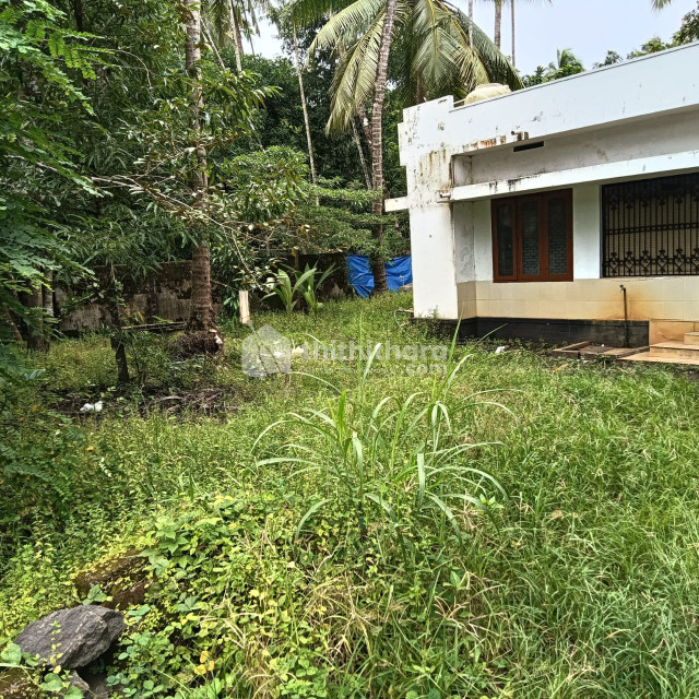 3BHK Independent House available for Sale in Devikulam Idukki