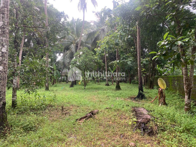 Residential Land available for Sale in Chavakkad Thrissur
