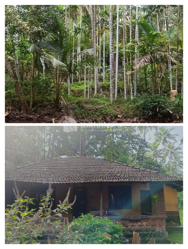 4BHK Independent House available for Sale in Kanhangad Kasaragod