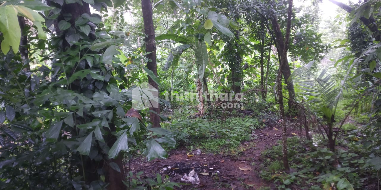 Residential Land available for Sale in Wadakkanchery Thrissur