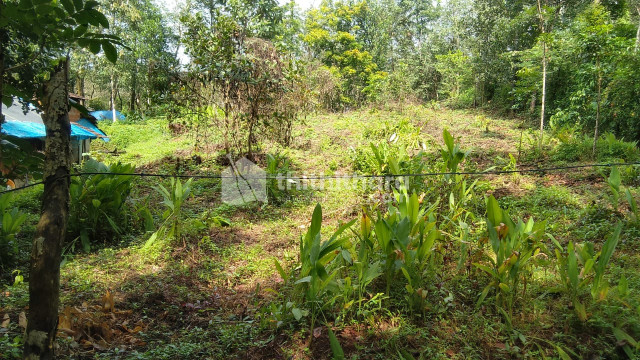 Residential Land available for Sale in Kolayad Kannur