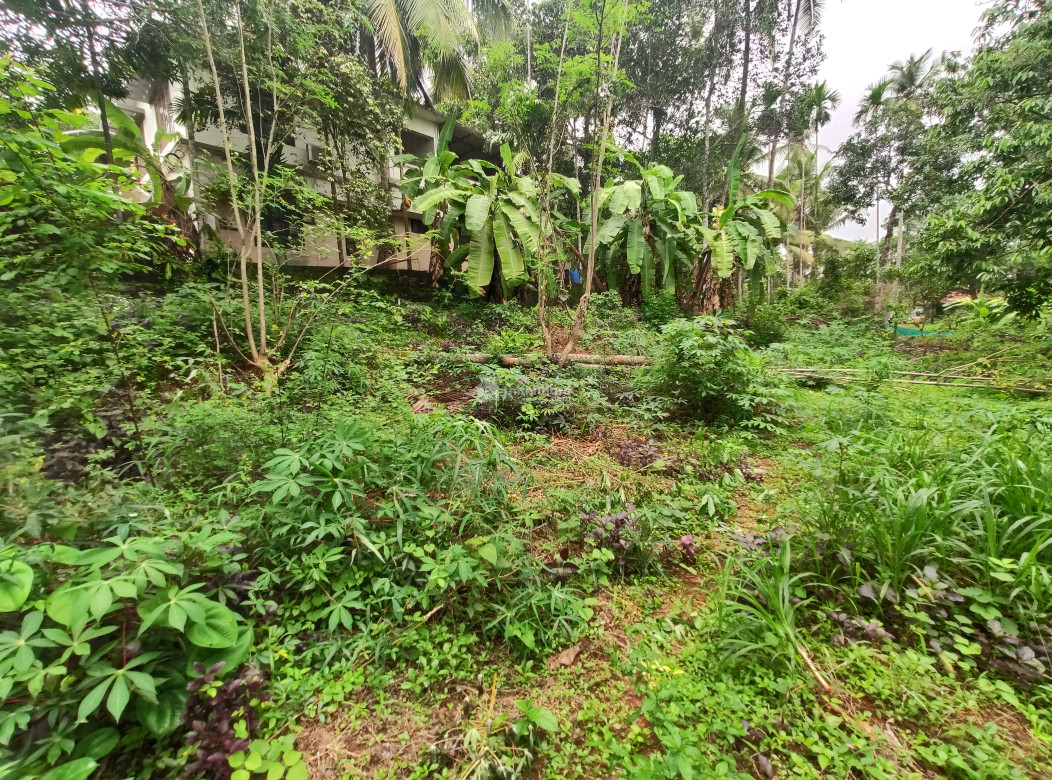 Land for sale near to Calicut Medical College