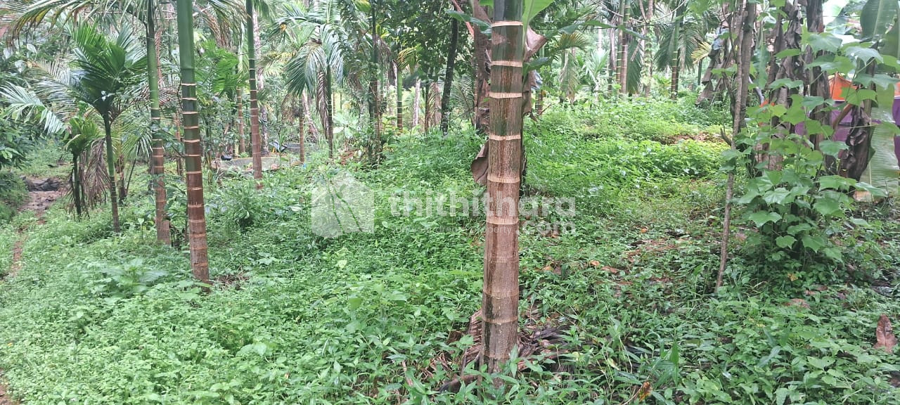 Residential Land available for Sale in Perambra Kozhikode