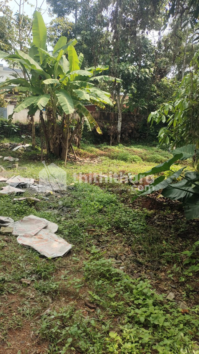 Residential Land available for Sale in Aluva Ernakulam