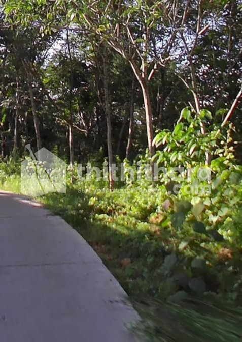 Commercial Plots available for Sale in Kottarakkara Kollam