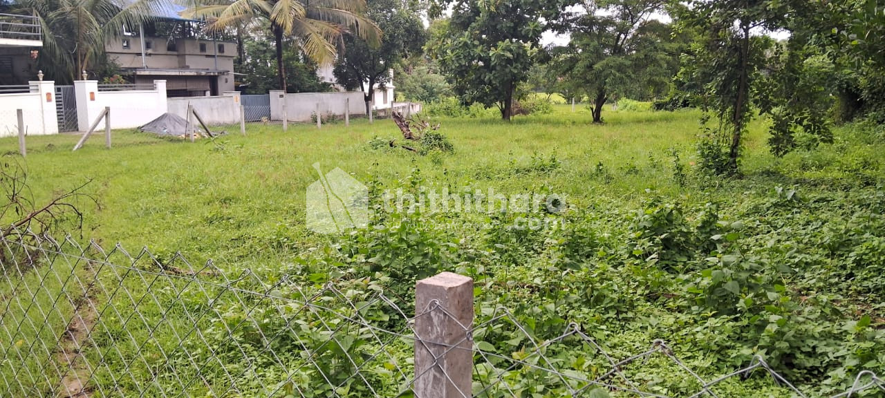 Residential Land Available for sale at Kodumbu Palakkad 