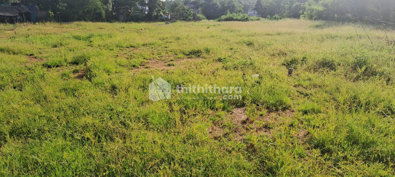 Residential Land For Sale Pallatheri Palalkkad
