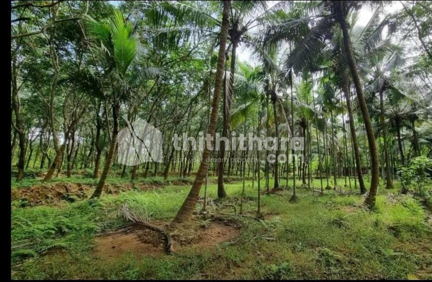 Residential Land available for Sale in Wadakkanchery Thrissur