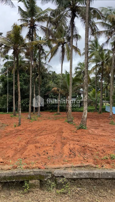 Residential Land available for Sale in Aluva Ernakulam