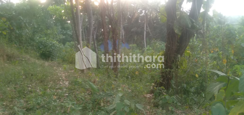 Residential Land available for Sale in Pravachambalam Thiruvananthapuram
