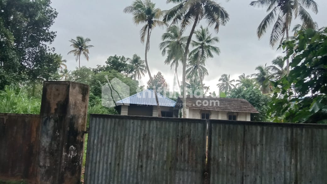 Commercial Others For Sale Kuttanellur Thrissur