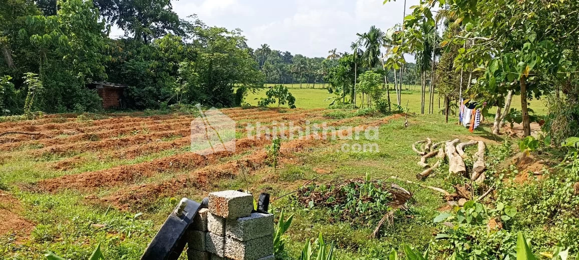 30 cent  land for sale at west vengola , Ernakulam