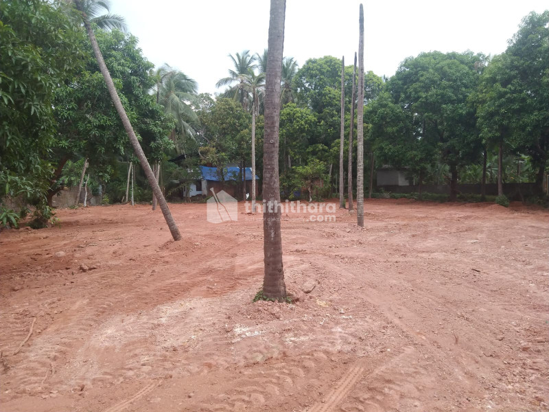 Residential Land available for Sale in Ramanattukara Kozhikode