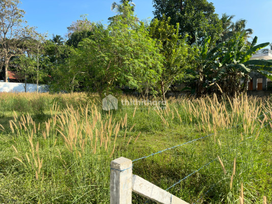 Residential land for sale in Ollur