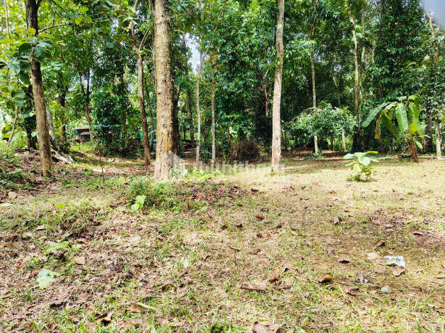 Residential Land available for Sale in Thiruvalla Pathanamthitta