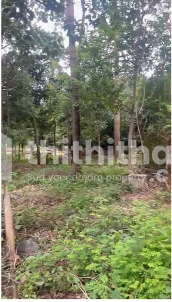 Commercial plot for sale in Cheruthurithy Thrissur