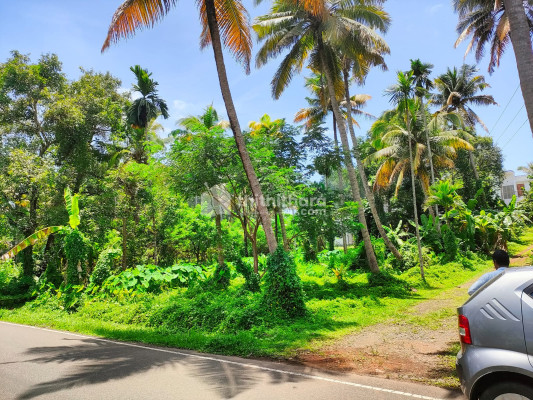 Residential Land available for Sale in Malavana Ernakulam