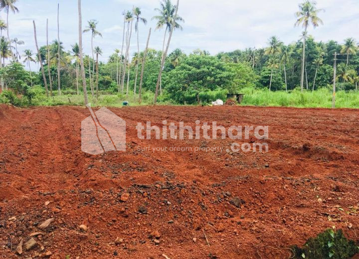 13.5 plot for Sale in ALOOR, Thrissur 