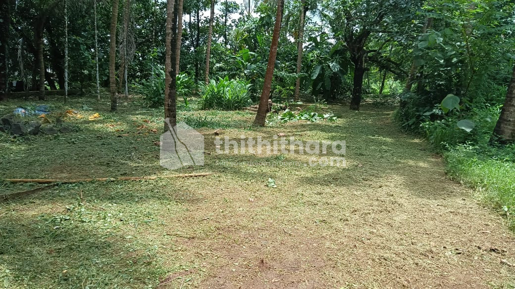Residential Land available for Sale in Ollur Thrissur
