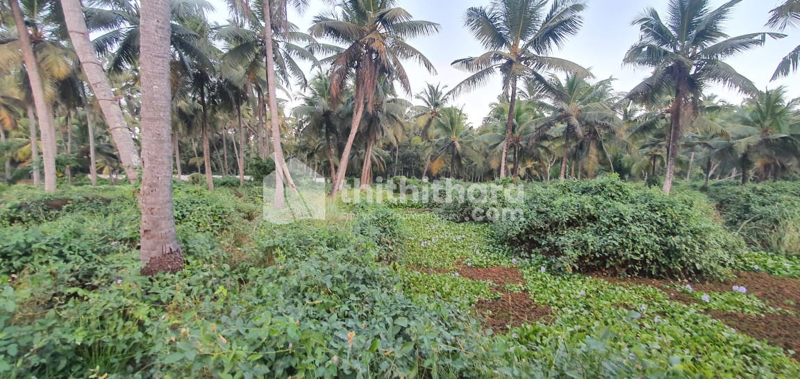 Commercial Plots available for Sale in Guruvayur Thrissur