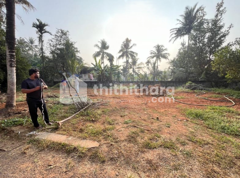 Residential Land available for Sale in Kakkanad Ernakulam