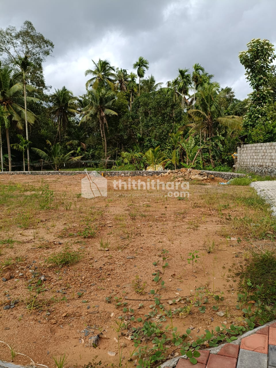 Residential Land available for Sale in Kakkanad Ernakulam